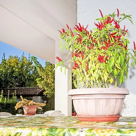 Vila Carla By Interhome Forte dei Marmi