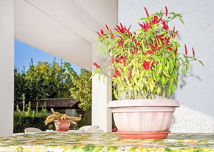 Villa Carla By Interhome Forte dei Marmi