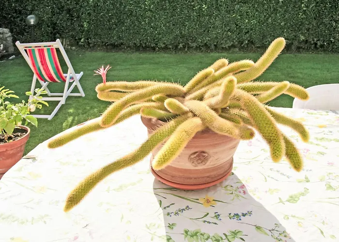 Carla By Interhome *